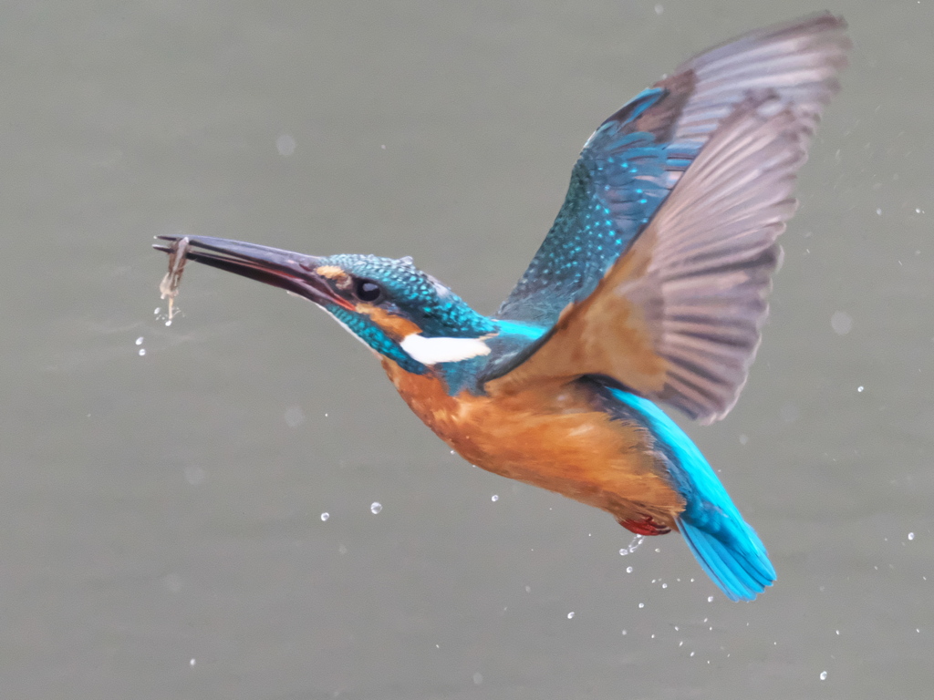 浮上 404-2（父親）