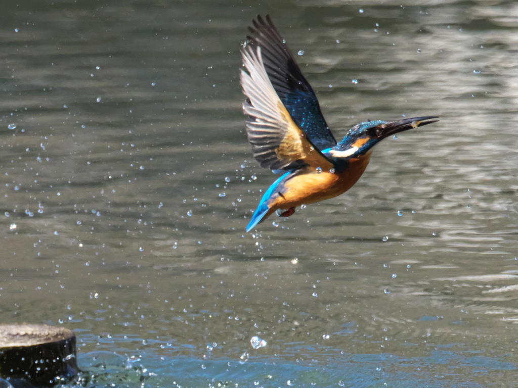 浮上 362-3（父親）