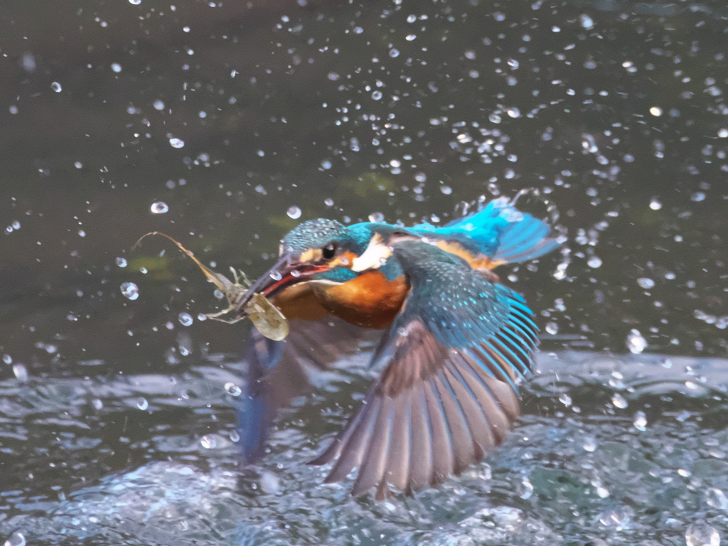 浮上 369-3（父親）