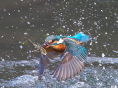 浮上 369-3（父親）