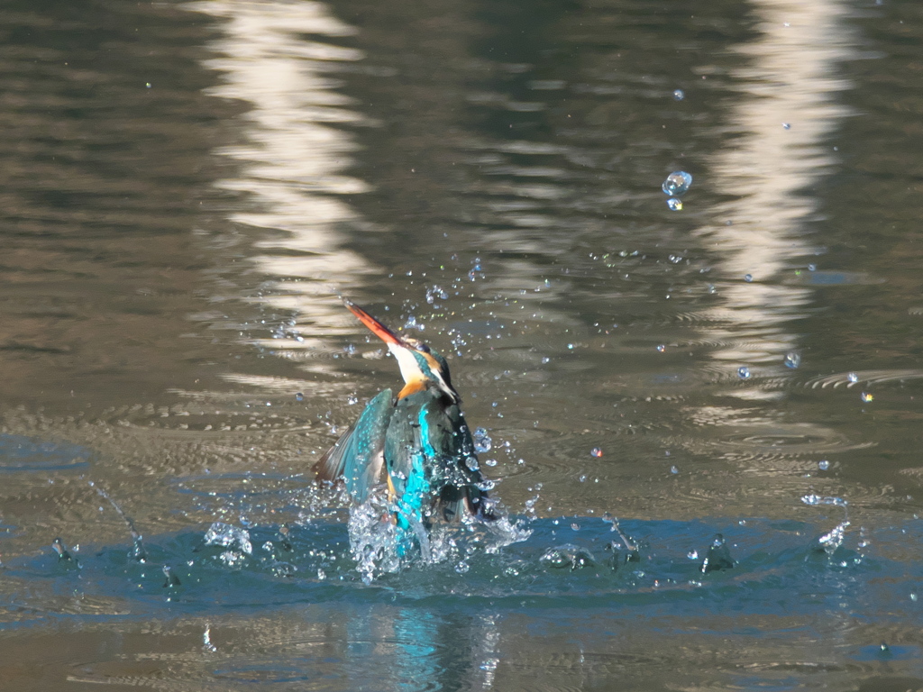 浮上 301（嫁候補）