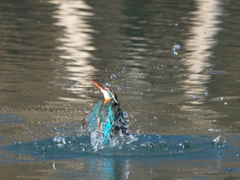 浮上 301（嫁候補）