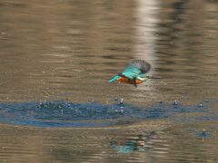 浮上 414-1（父親）