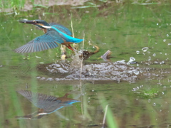 浮上 83-1（父親）