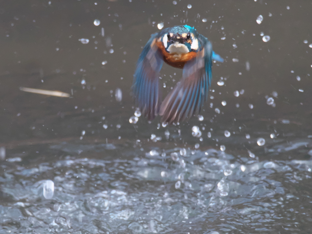 浮上 324-1（父親）