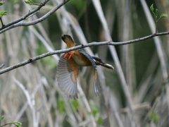 お持ち帰り 28-2