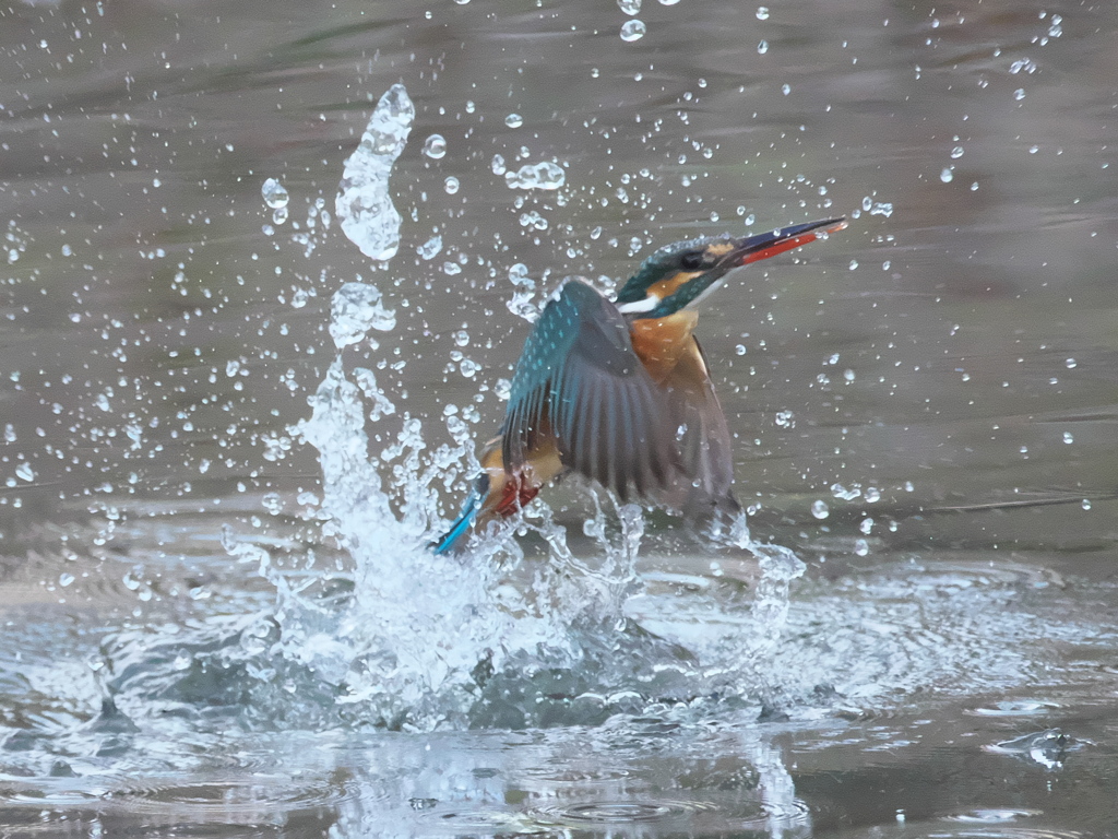 浮上 294（嫁候補）