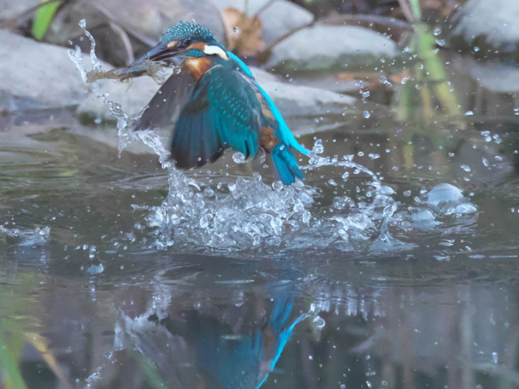 浮上 168-1（父親）