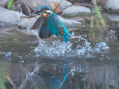 浮上 168-1（父親）