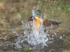 浮上 271-1（父親）