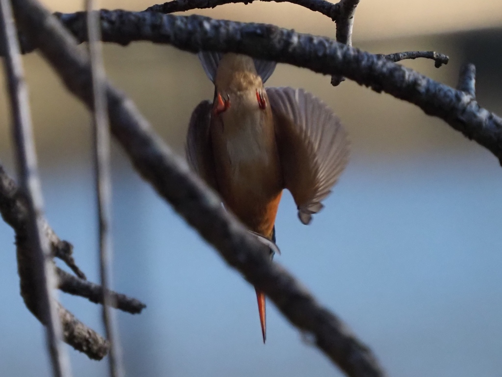 少し暗くなって来た２