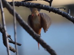 少し暗くなって来た２