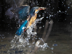 浮上 263（嫁候補）