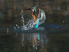 浮上 257（嫁候補）