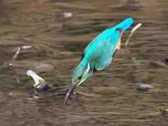 飛び込みシーケンス 29-5（父親）