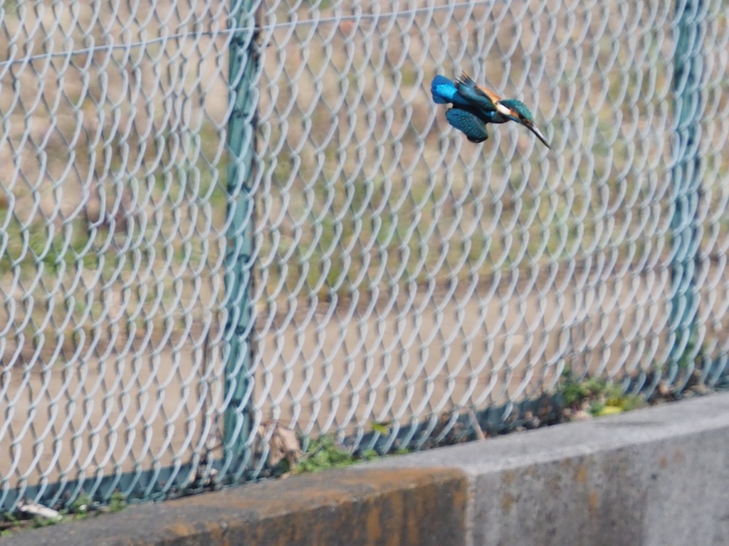改めて見るとかなり捻りが
