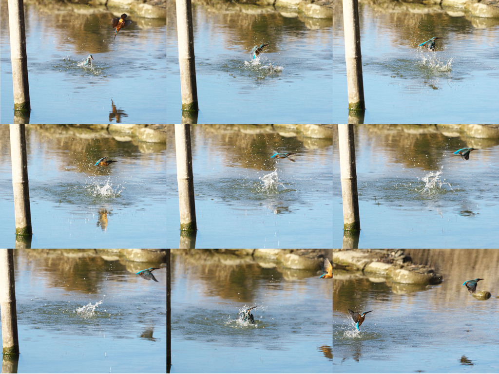 飛び込みシーケンス 30（父親と嫁候補のダブル その3）