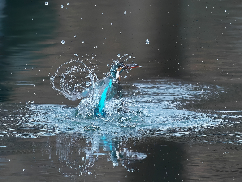 浮上 1108（ぐるぐる）