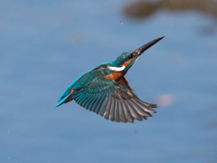 浮上 416-4（父親）