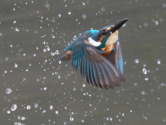 浮上 243-2（父親）