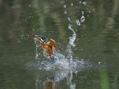 浮上 1263-3 浮上 1263-3