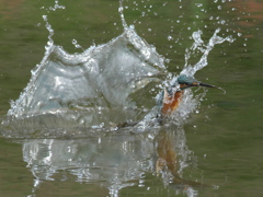 浮上 106-1（嫁候補）