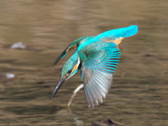 飛び込みシーケンス 29-4（父親）