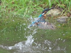 浮上 58-2（父親）