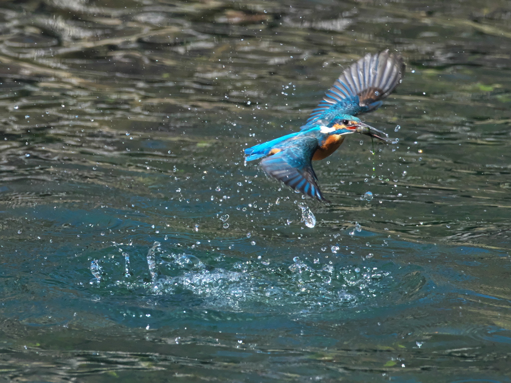 浮上 423-2（父親）