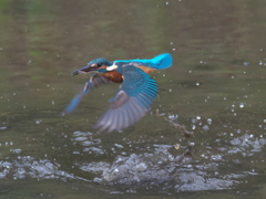 浮上 110-1（父親 霧雨）