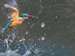 浮上 398-1（父親）