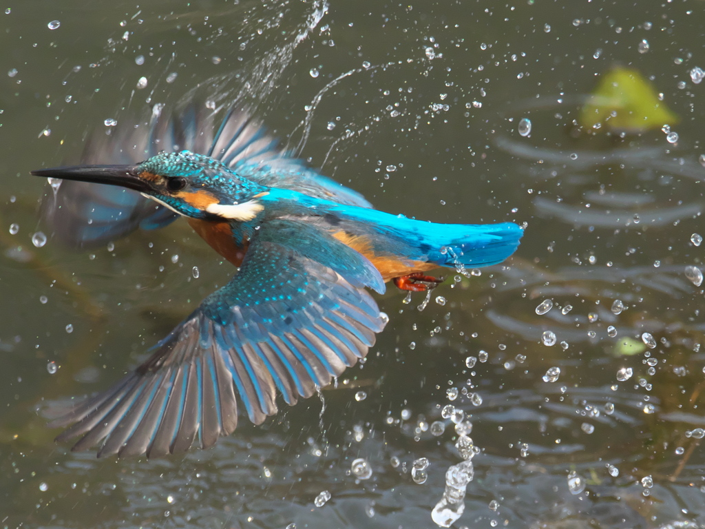 浮上 286-2（父親）