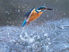 浮上 406（父親）