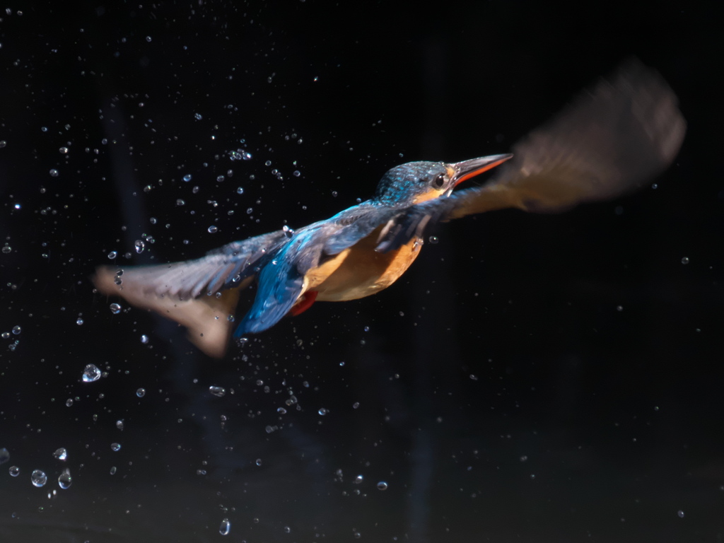 浮上 183（嫁候補）