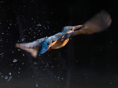 浮上 183（嫁候補）