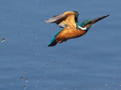 浮上 416-1（父親）