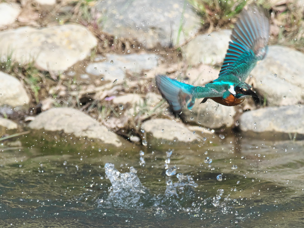 浮上 474-1（父親）
