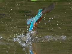 浮上 103-1（父親）