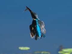 浮上 74-3（父親）