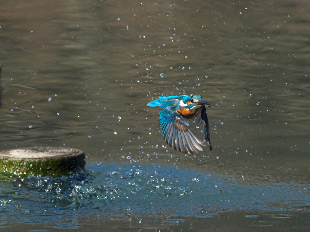 浮上 363-2（父親）