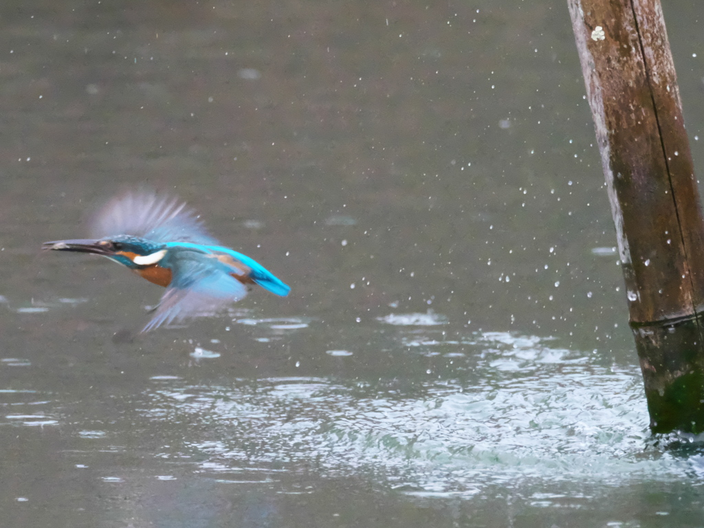 浮上 352（父親）