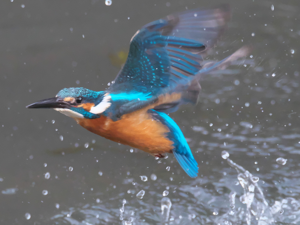 浮上 246-1（父親）