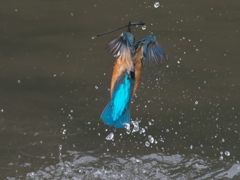 浮上 91-2（父親）