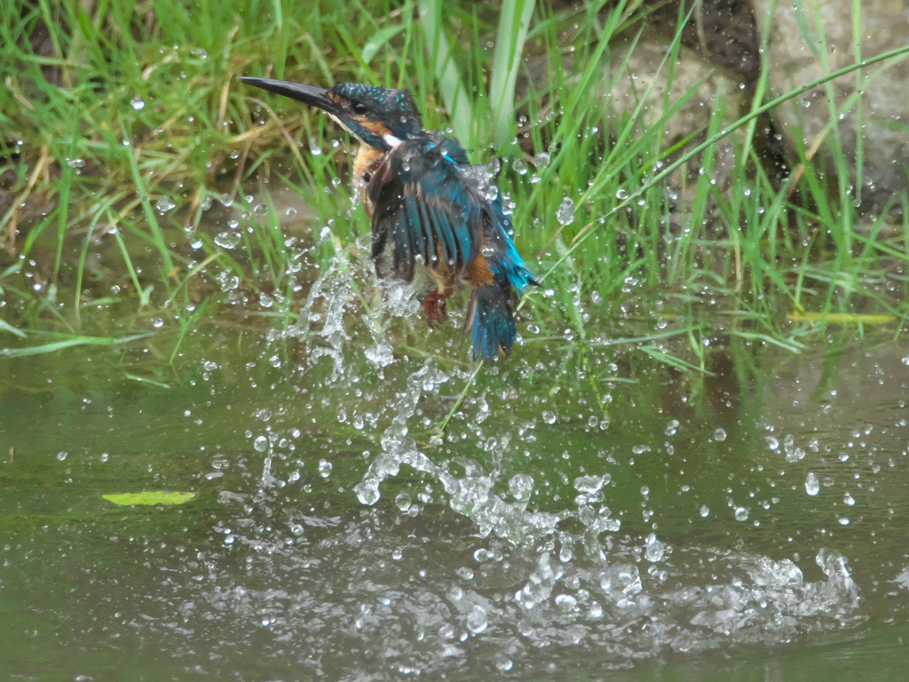 浮上 57-2（父親）