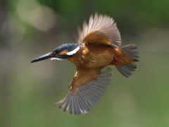 華麗なるターン 7