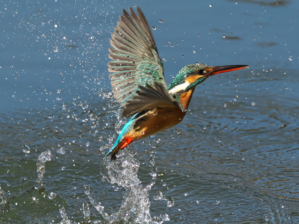 浮上 366-2（嫁候補）