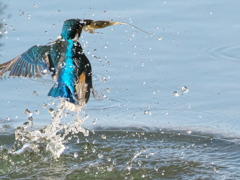 浮上 393（父親）