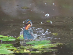 浮上 125-1（父親）