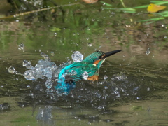 水浴び 7-1（父親）