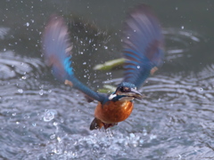 浮上 276-2（父親）